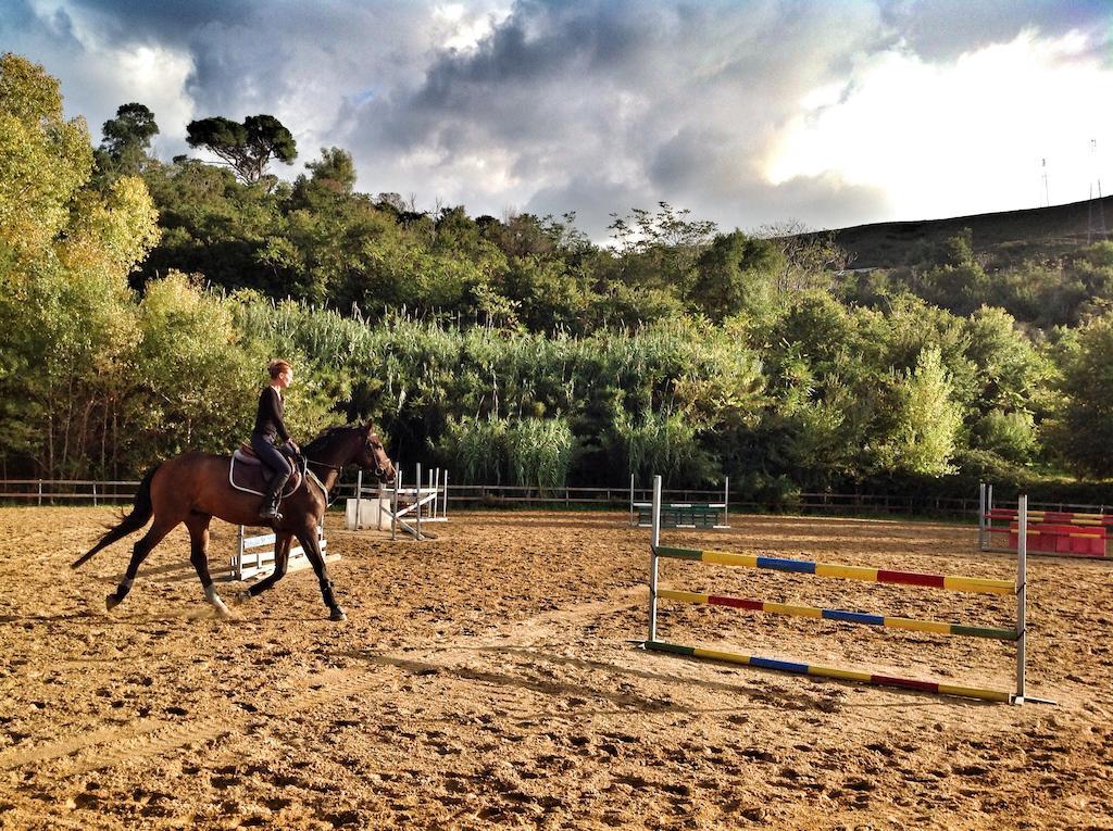 Agriturismo Ridocco 科莱奥内 外观 照片