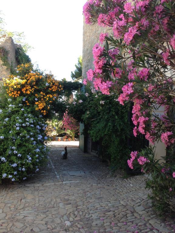Agriturismo Ridocco 科莱奥内 外观 照片