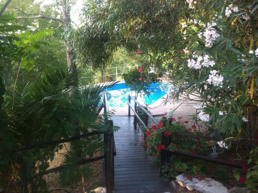 Agriturismo Ridocco 科莱奥内 外观 照片
