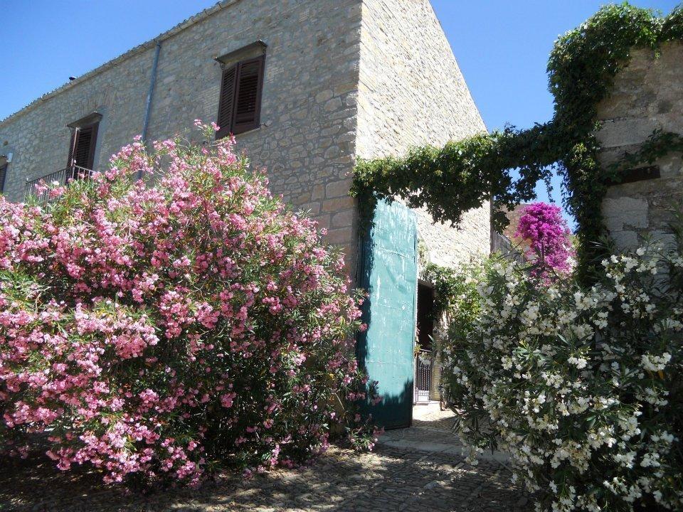 Agriturismo Ridocco 科莱奥内 外观 照片