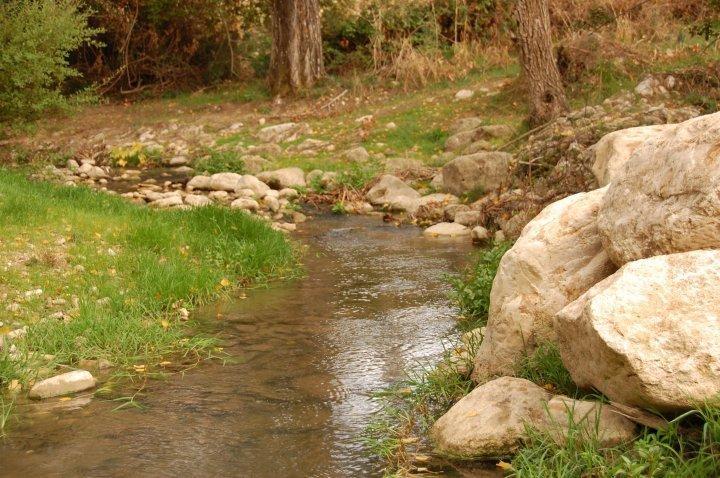 Agriturismo Ridocco 科莱奥内 外观 照片