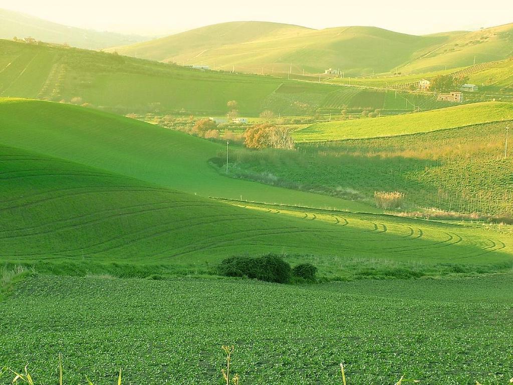 Agriturismo Ridocco 科莱奥内 外观 照片