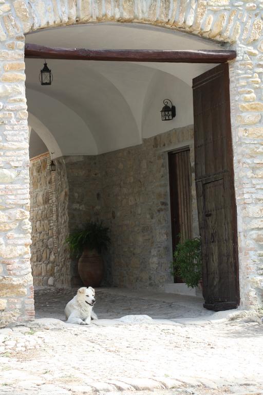 Agriturismo Ridocco 科莱奥内 外观 照片