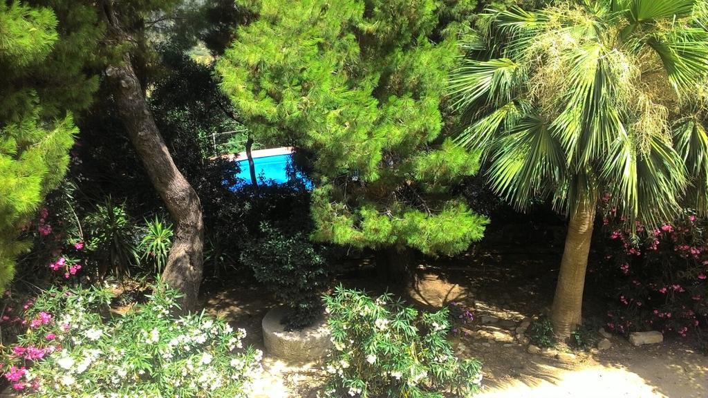 Agriturismo Ridocco 科莱奥内 外观 照片