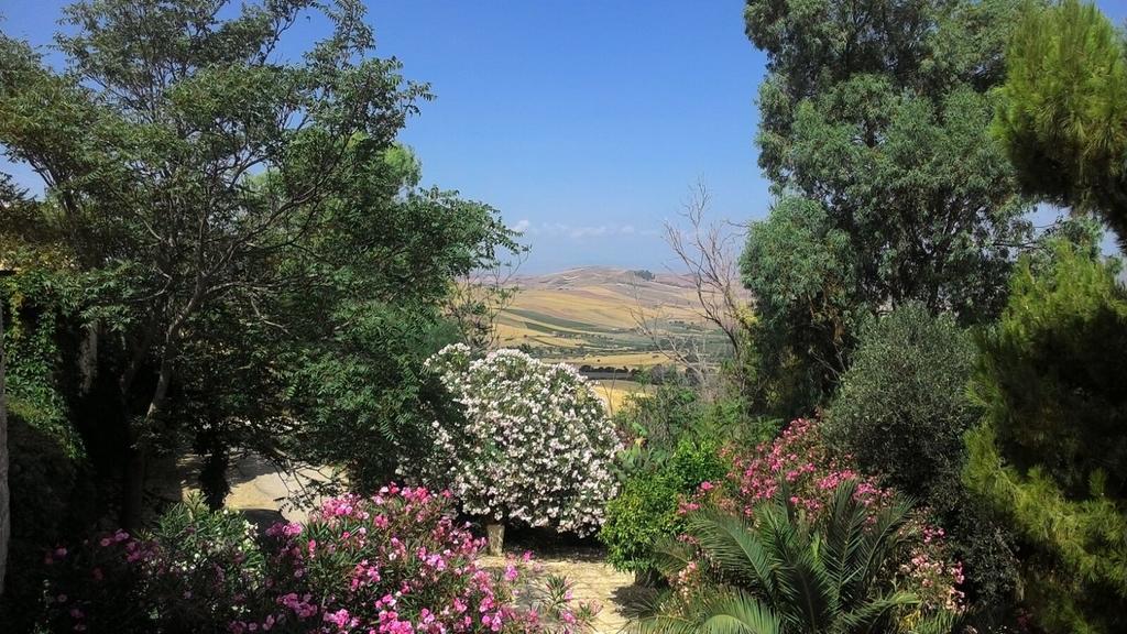 Agriturismo Ridocco 科莱奥内 外观 照片